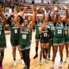 D'Tigress
