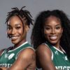 D'Tigress