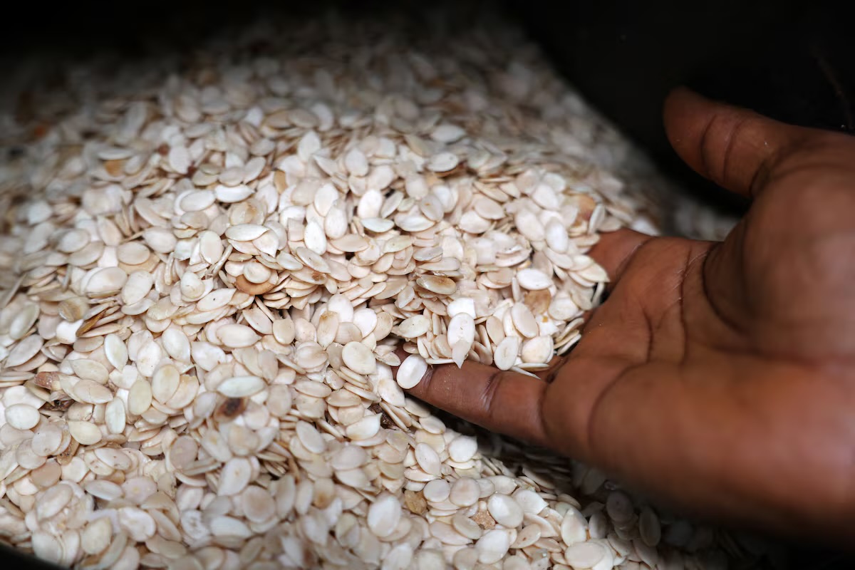 Egusi seeds