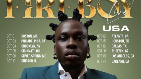 Fireboy DML concert