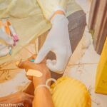 The Biomedical Science Research and Training Centre (BioRTC) at Yobe State University