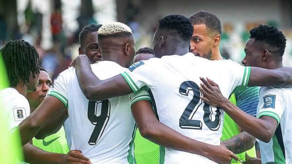 Super Eagles