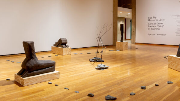 Precious Okoyomon: The Sky Measures Little