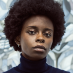 Toyin Ojih Odutola