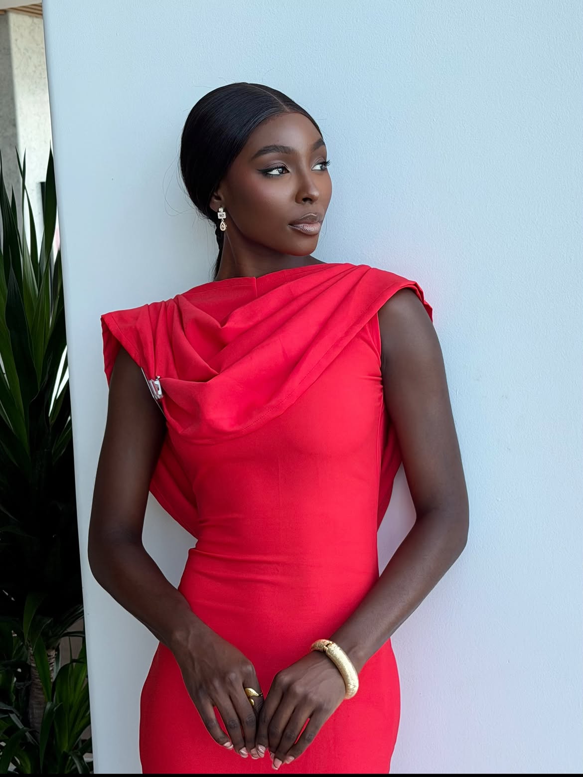 Miss World Nigeria 2026 issues urgent call to Nigerians from Vietnam